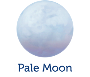 Pale Moon 29.2.1 Crack Latest Version Free 