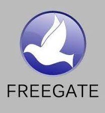 Freegate Professional 7.91 Crack Full Patch Version