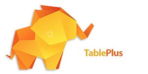 TablePlus 4.9.0 Crack + License Key Download